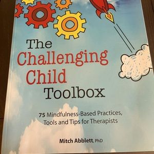 The Challenging Child Toolbox book